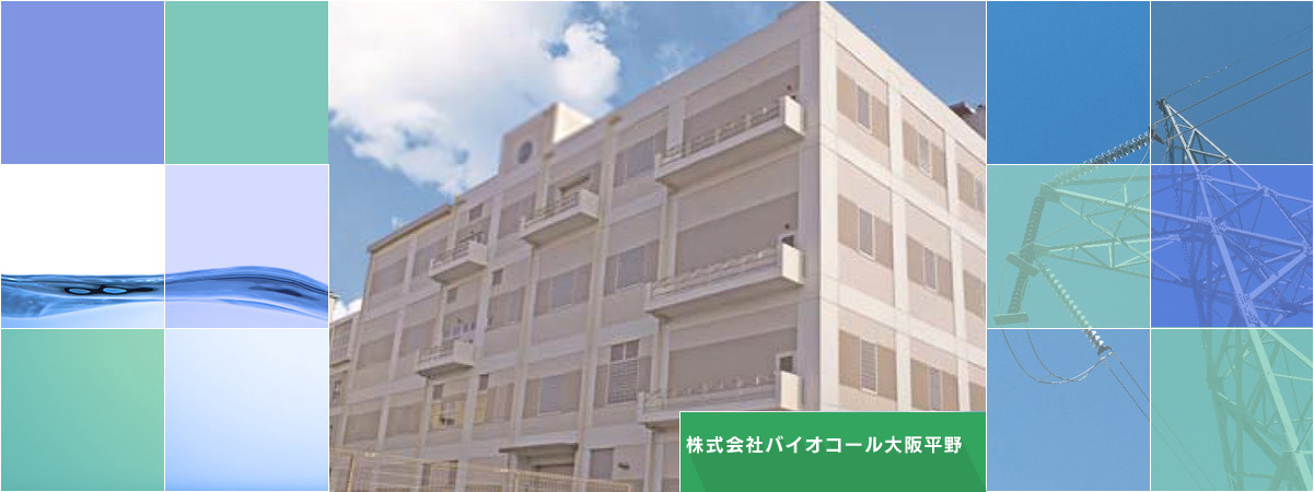 株式会社バイオコール大阪平野 大阪市平野下水処理場 下水汚泥燃料化事業